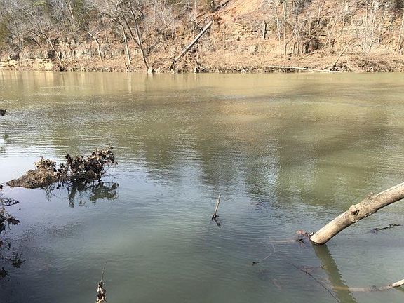 4th image of 12540 River Access Dr