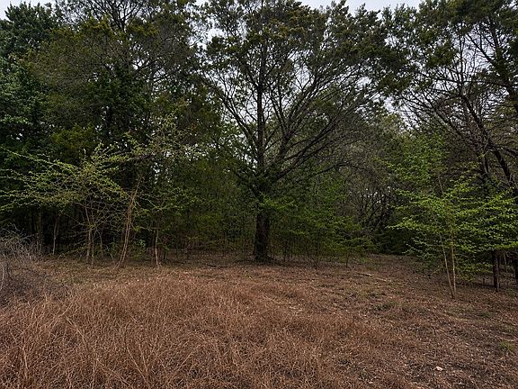 4th image of 262 Palomino Loop