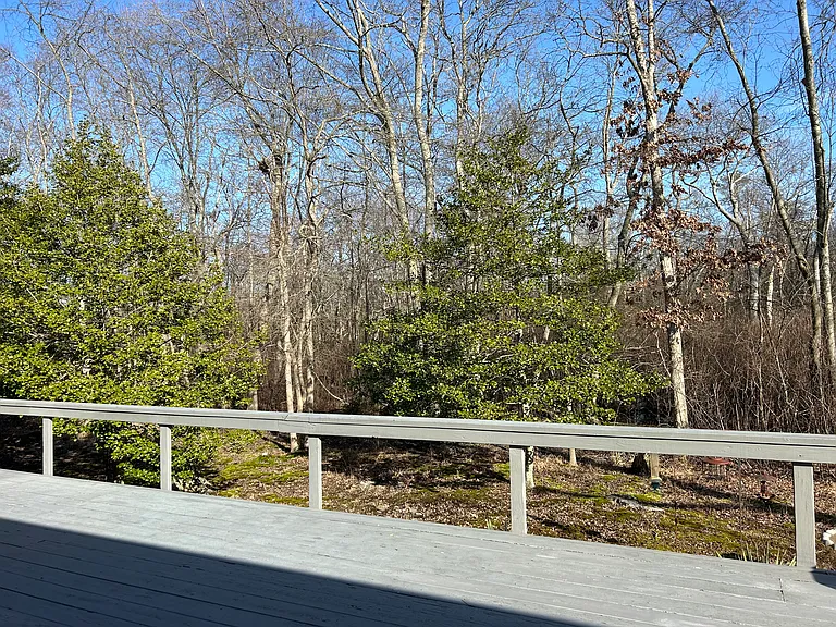 16 Quail Run — Photo 16