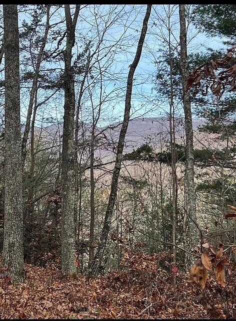 1st image of 288 Frost Bottom Rd