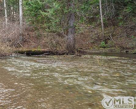 Crown Creek Still-28