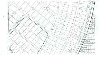 1st image of 731 Dolphin Ave