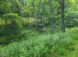 5 Fingers Forks Ln, Fort Blackmore, VA 24250
