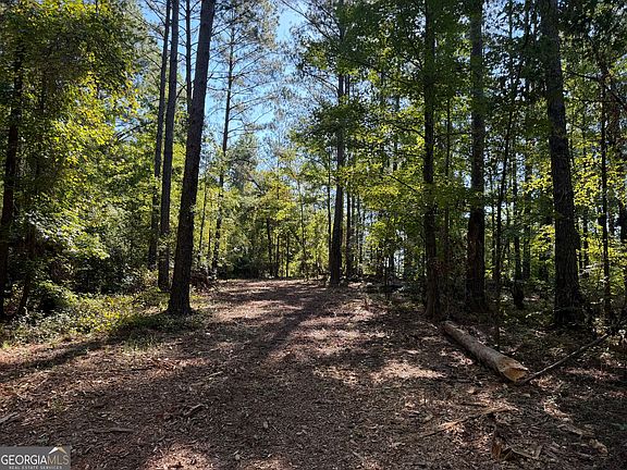 4th image of 0 Pig Rd