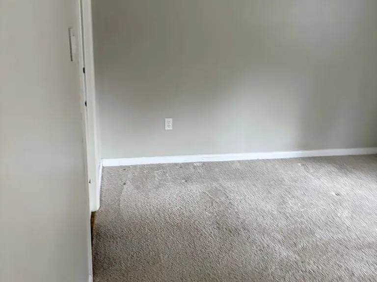 4519B Edwards Mill Rd — Photo 20