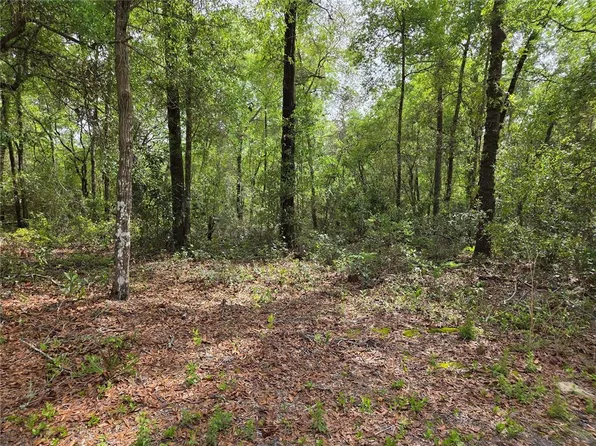 NW 97th Ct Lot 2, Chiefland, FL 32626