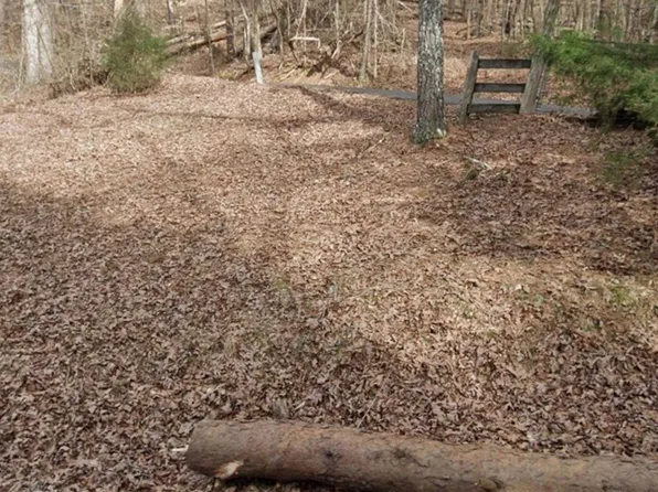 239 Cole Dr, Springville, AL 35146