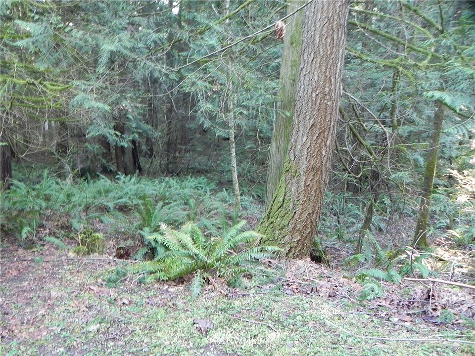 1st image of 290 xx SE 45th Street
