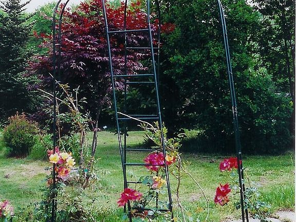 Rose arbor in front of house