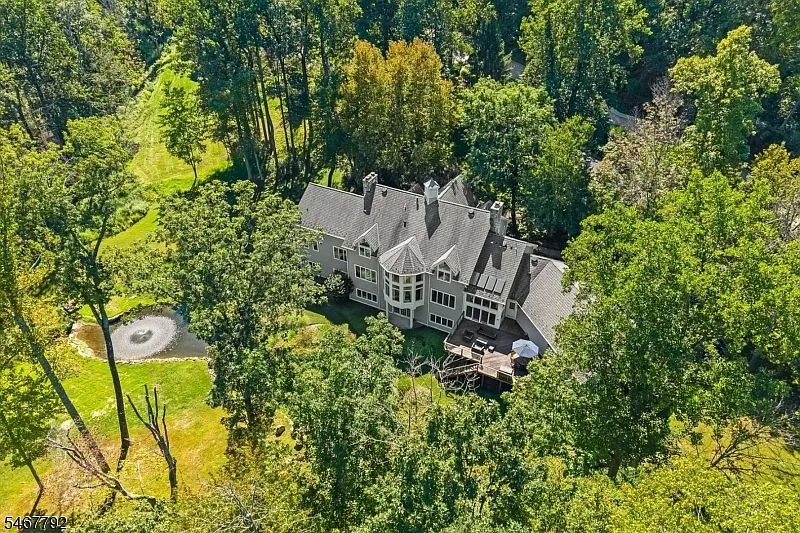 6 bed, 6.5 bath, $12,000 — Photo 3