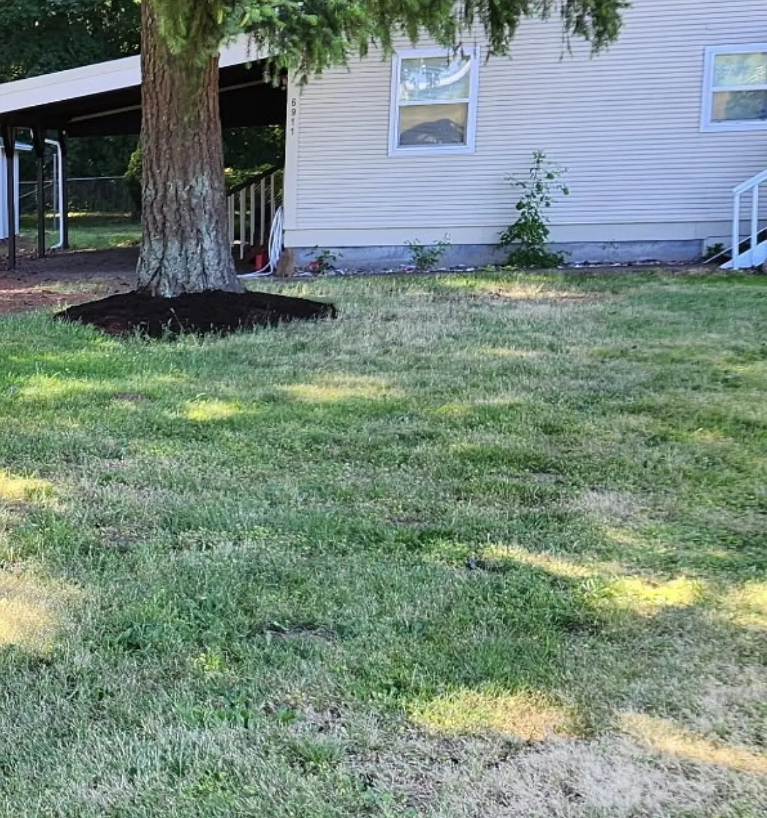 3 bed, 1.5 bath, 1664 sqft, $2,500 — Photo 2