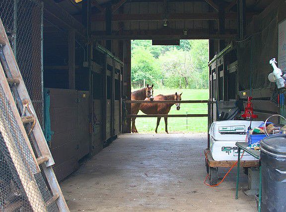 Horse barn with 7 stalls