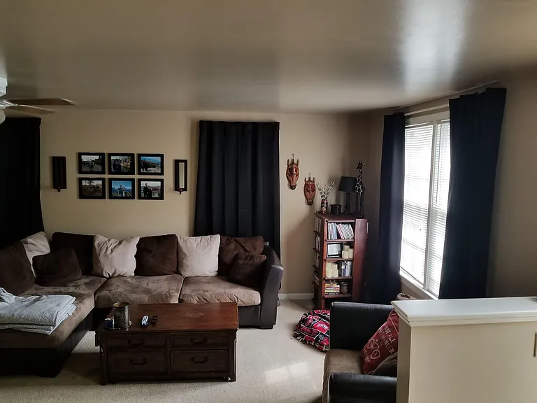 2529 Windbreak Dr — Photo 7