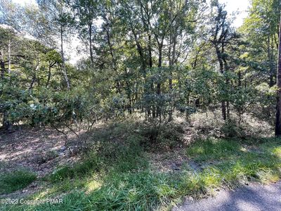 Ev1094 Petrarch Trl, Albrightsville, PA, 18210