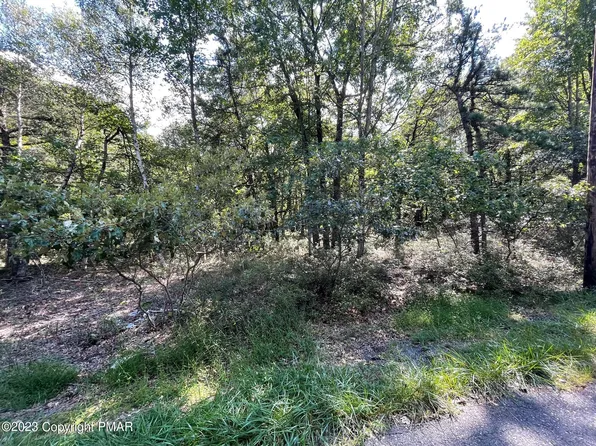 Ev1094 Petrarch Trl, Albrightsville, PA 18210