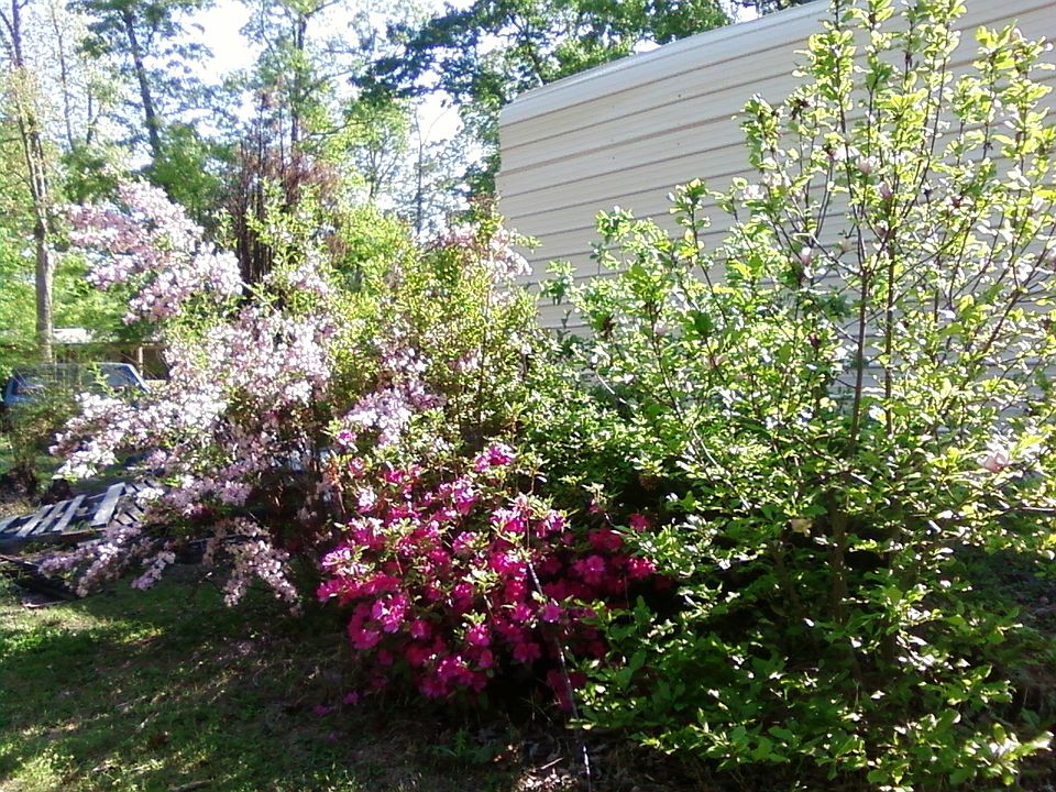 1st image of 1262 Rosehill Dr