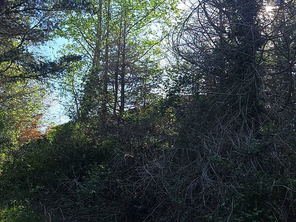 3rd image of 344 Hemlock Rd