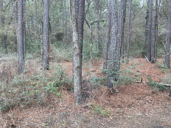 LOT 19 Hackberry Dr, Plantersville, TX 77363
