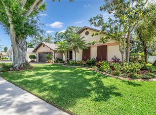 2513 Bucknell Dr, Valrico, FL 33596