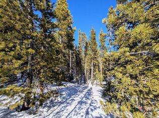 234 Alice Rd, Idaho Springs, CO 80452