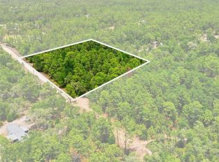 5339 N Lace Point, Dunnellon, FL 34433