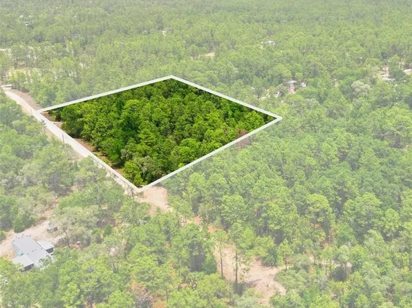 5339 N Lace Point, Dunnellon, FL 34433