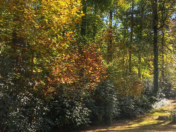 Front yard section