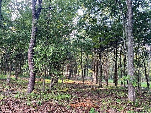 5th image of 7878 Bill Moss Rd