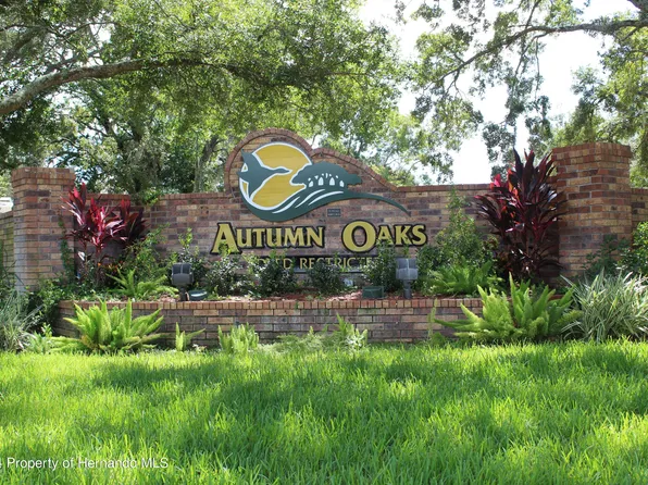 0 Echo Mountain Dr, Hudson, FL 34667