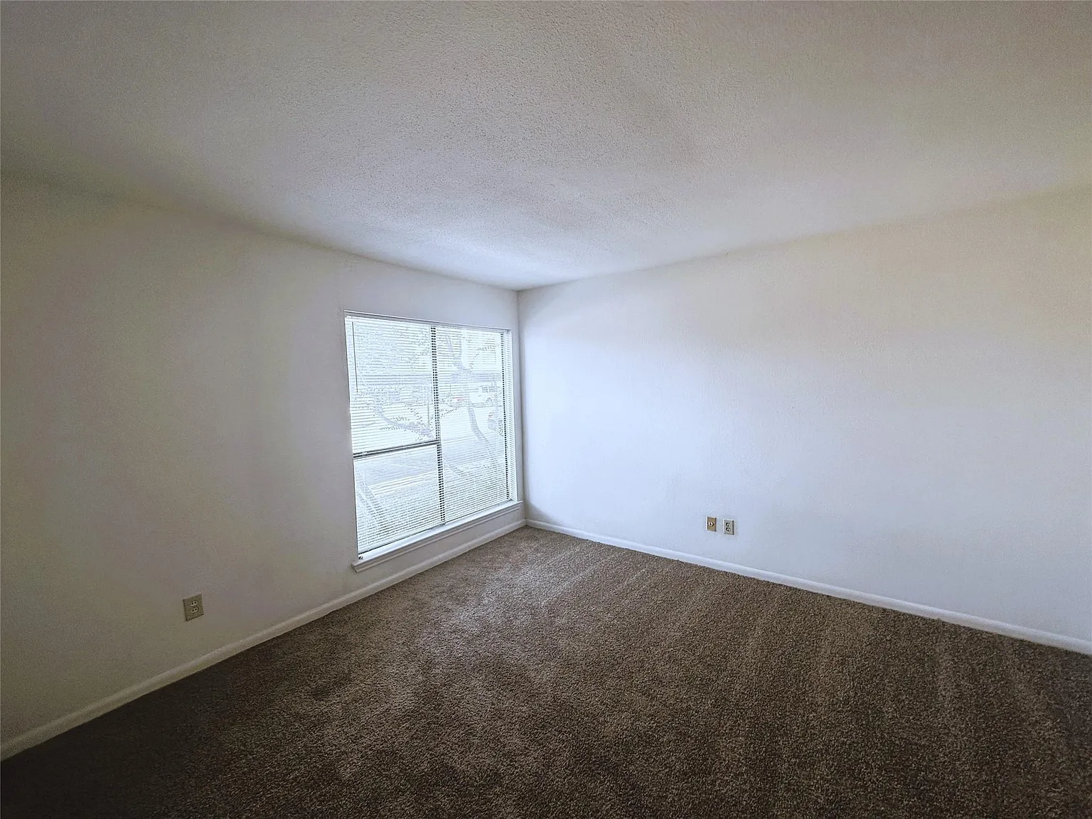 1 bed, 1.0 bath, 700 sqft, $899 — Photo 4