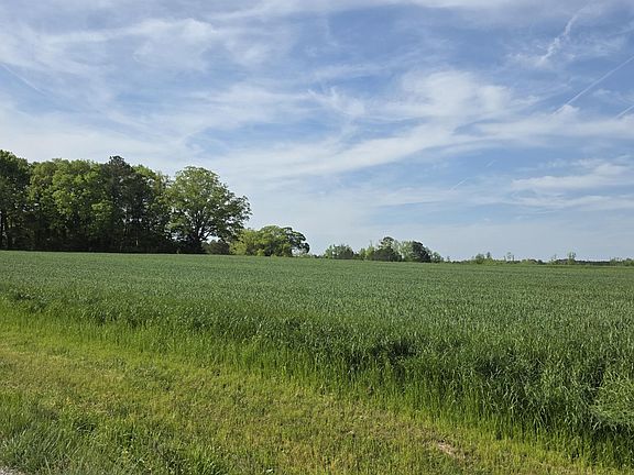 4th image of 294 Hight Rd