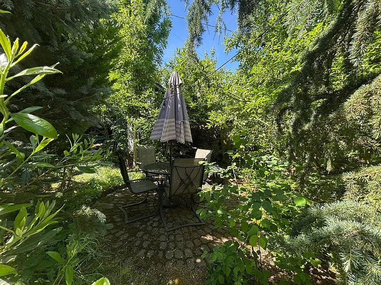 3521 S Ferdinand St — Photo 36