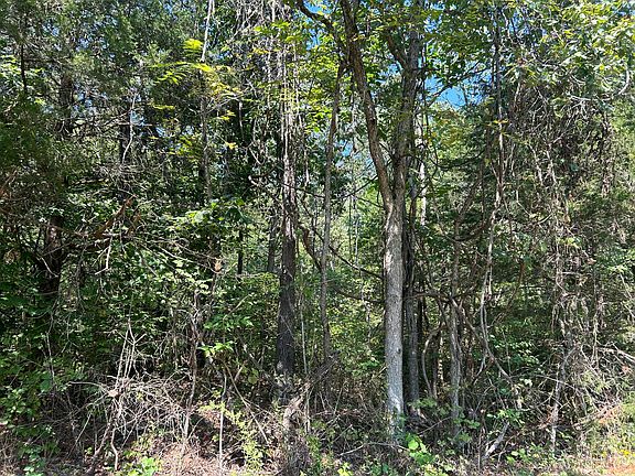 2nd image of 7789 Co Rd T-561