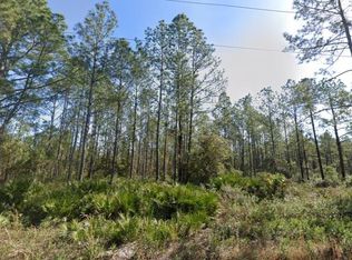 10620 Beckenger Ave, Hastings, FL 32145