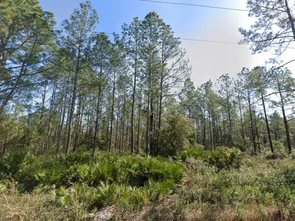 10620 Beckenger Ave, Hastings, FL 32145