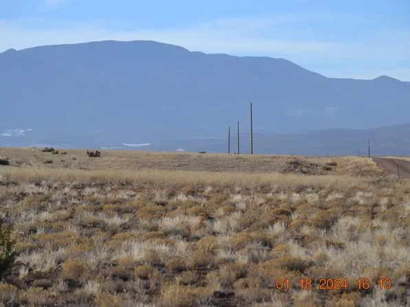 LOT 19 Pickney Rd #19, Rye, CO 81069