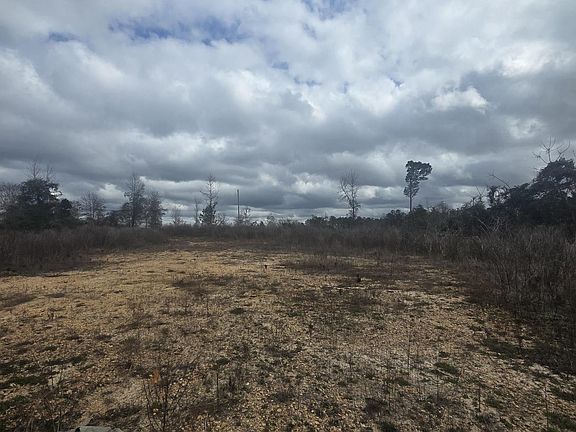 2nd image of 0 County Road 351 #1