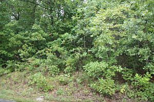 2nd image of Lacy Ln