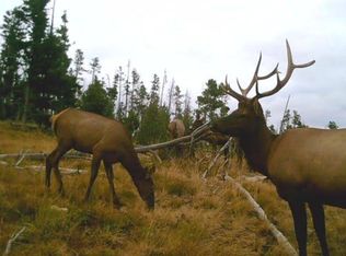 17 Logan Way, Philipsburg, MT 59858