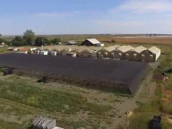 2nd image of 1251 Pleasant Grove Rd