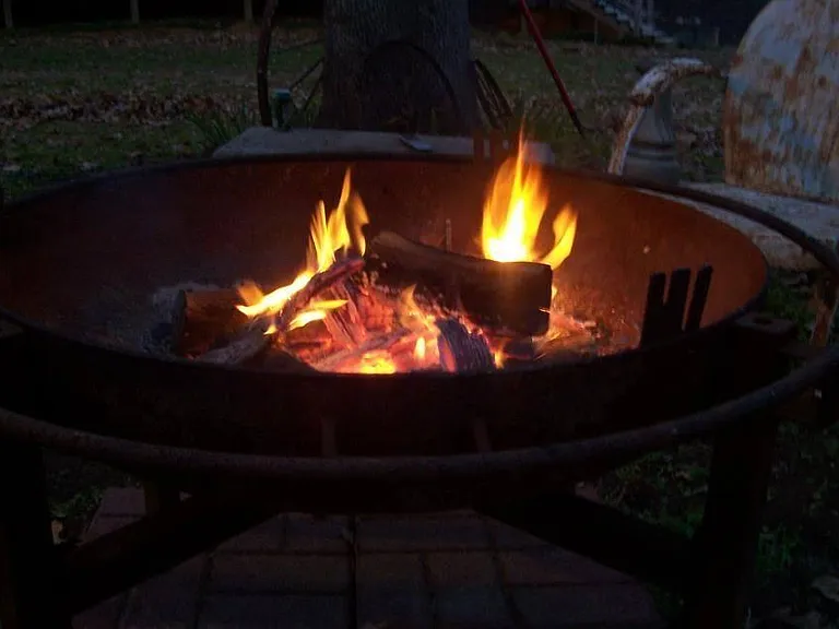 Fire pit outside the cabin