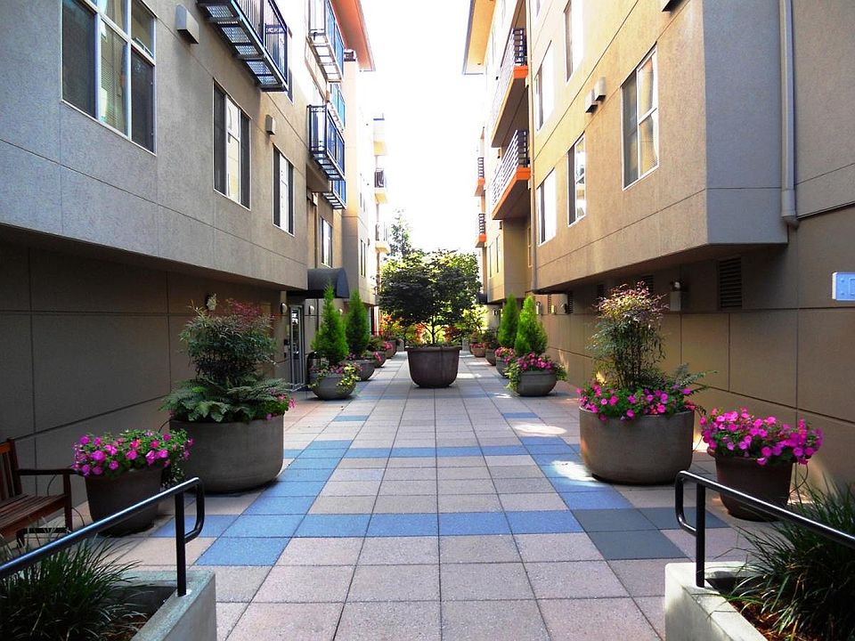 Courtyard View