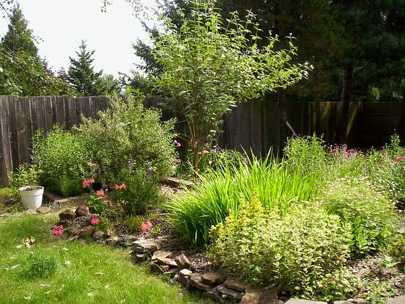 front yard