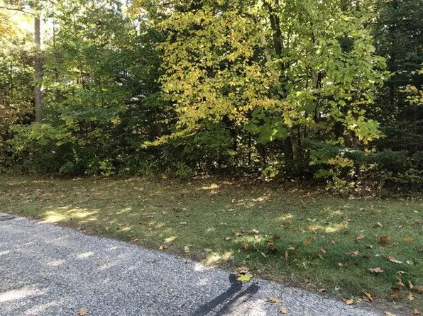 LOTS 2 & 3 W Etherington St, Mackinaw City, MI 49701