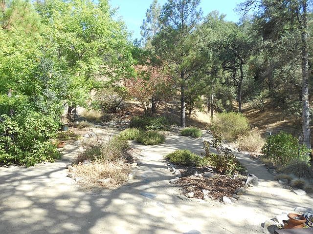 back yard