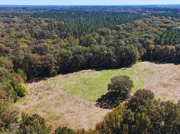 State Highway 547, Pt Gibson, MS 39150