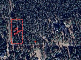 2968 CONSTELLATION 029 Lane #-, Overgaard, AZ 85933