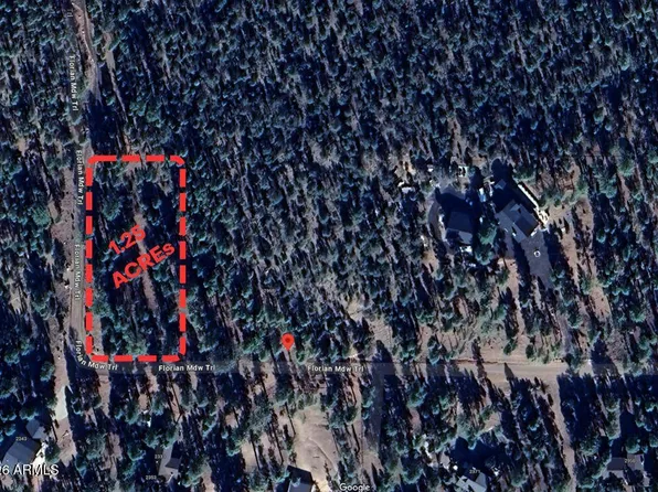 2968 CONSTELLATION 029 Lane #-, Overgaard, AZ 85933