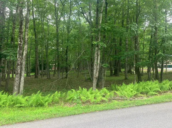 Elliot Ln, Albrightsville, PA 18210