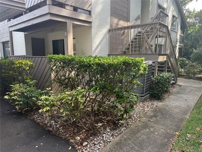 604 Summerhill Ct APT B, Safety Harbor, FL, 34695